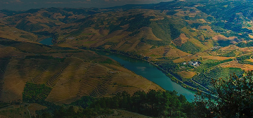 Banner enoturismo mobile